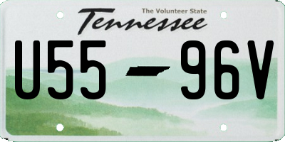 TN license plate U5596V