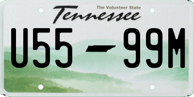TN license plate U5599M