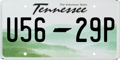 TN license plate U5629P