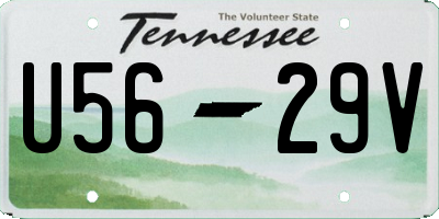 TN license plate U5629V