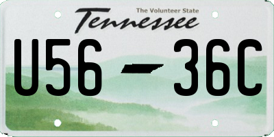 TN license plate U5636C