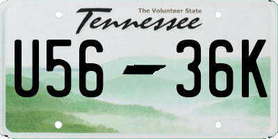 TN license plate U5636K