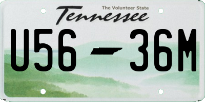 TN license plate U5636M