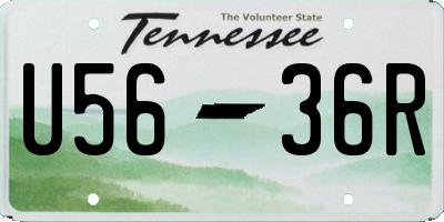 TN license plate U5636R