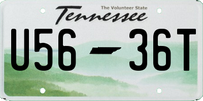 TN license plate U5636T