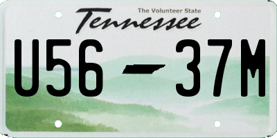 TN license plate U5637M