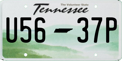 TN license plate U5637P