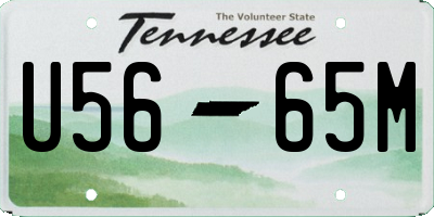 TN license plate U5665M