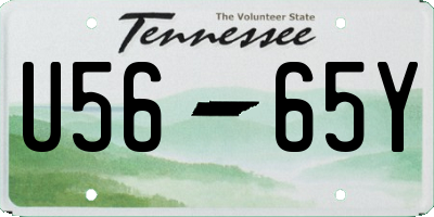 TN license plate U5665Y