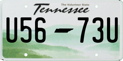 TN license plate U5673U