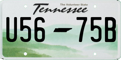 TN license plate U5675B