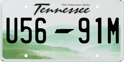 TN license plate U5691M