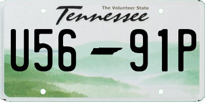TN license plate U5691P