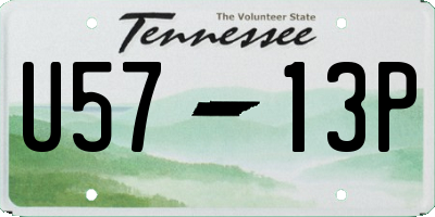 TN license plate U5713P