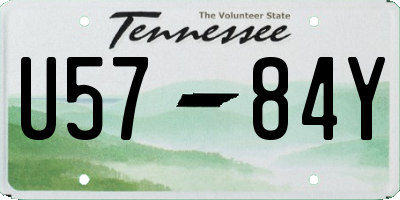 TN license plate U5784Y