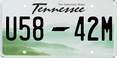 TN license plate U5842M
