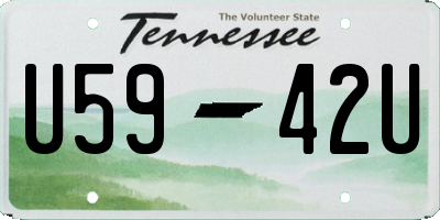 TN license plate U5942U
