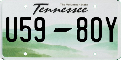 TN license plate U5980Y