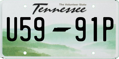 TN license plate U5991P