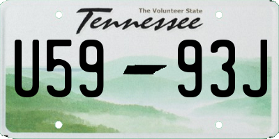 TN license plate U5993J