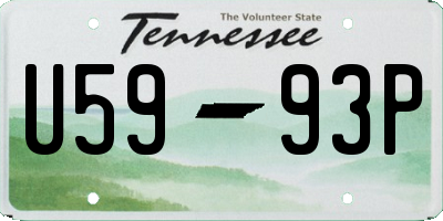 TN license plate U5993P