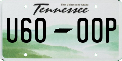 TN license plate U6000P