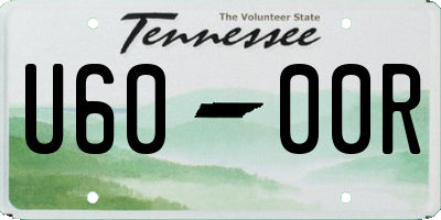 TN license plate U6000R