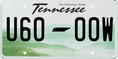 TN license plate U6000W