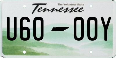 TN license plate U6000Y