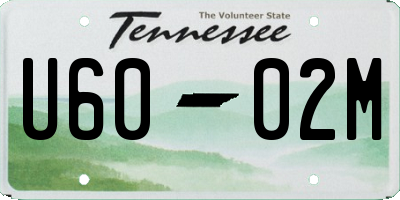 TN license plate U6002M