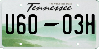 TN license plate U6003H