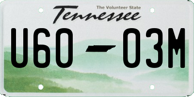 TN license plate U6003M