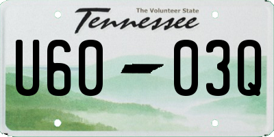 TN license plate U6003Q