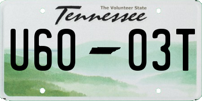 TN license plate U6003T