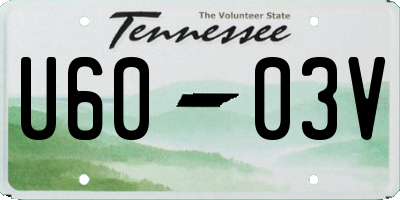 TN license plate U6003V