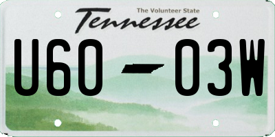 TN license plate U6003W