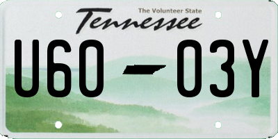 TN license plate U6003Y