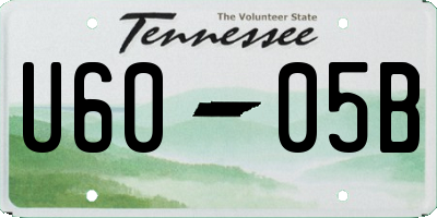 TN license plate U6005B