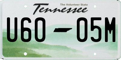 TN license plate U6005M