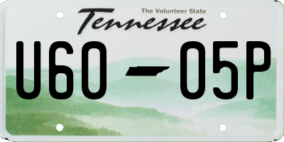 TN license plate U6005P
