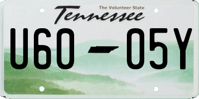 TN license plate U6005Y