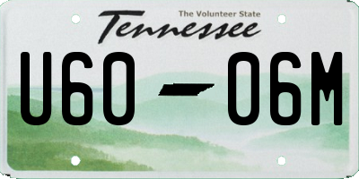 TN license plate U6006M