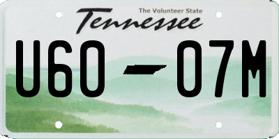 TN license plate U6007M