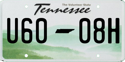 TN license plate U6008H