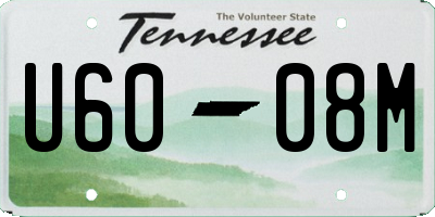 TN license plate U6008M