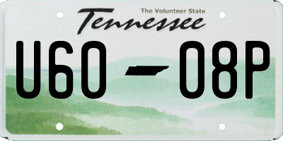 TN license plate U6008P