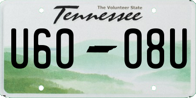 TN license plate U6008U