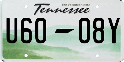 TN license plate U6008Y