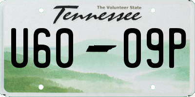 TN license plate U6009P
