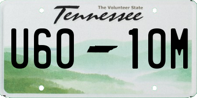 TN license plate U6010M